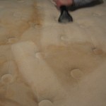 misc job photos 005